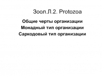 Зоол.Л.2. Protozoa