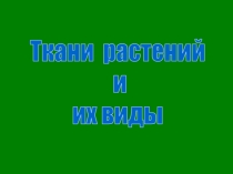 Ткани растений
и
их виды