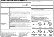 РЕФЛЕКТОРНЫЙ ПРИНЦИП НЕРВНОЙ РЕГУЛЯЦИИ
Рефлексы
Поведение – направленные