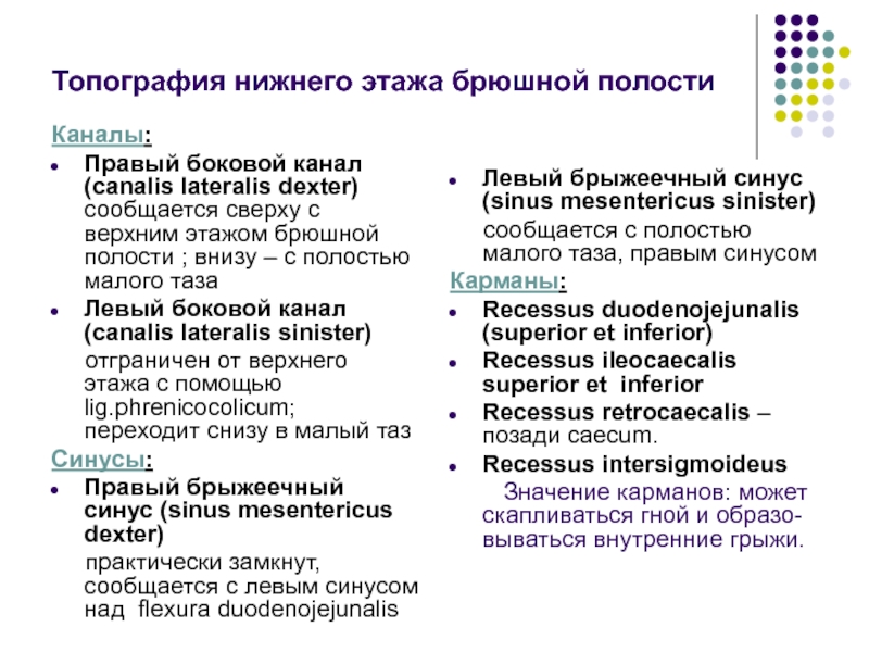 Лекция № 6 Топография нижнего этажа брюшной полости Каналы: Топография нижнего этажа брюшной полости Каналы: Правый