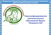 Муниципальное бюджетное учреждение дополнительного образования Детская