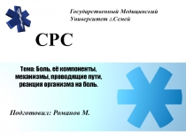 Тема: Боль, её компоненты, механизмы, проводящие пути, реакция организма на