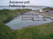 Значення риб. Рибництво