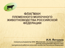 ФЛАГМАН ПЛЕМЕННОГО МОЛОЧНОГО ЖИВОТНОВОДСТВА РОССИЙСКОЙ ФЕДЕРАЦИИ
И.Н. Янчуков