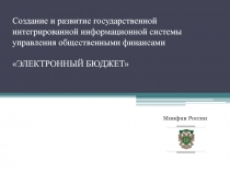 Создание и развитие государственной интегрированной информационной системы