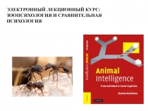 ЭЛЕКТРОННЫЙ ЛЕКЦИОННЫЙ КУРС: ЗООПСИХОЛОГИЯ И СРАВНИТЕЛЬНАЯ ПСИХОЛОГИЯ