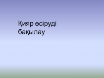 Қияр өсіруді бақылау