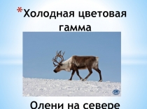 Холодная цветовая гамма Олени на севере