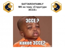 SATTAROVFAMILY
МК на тему Структура ЭССЕ
