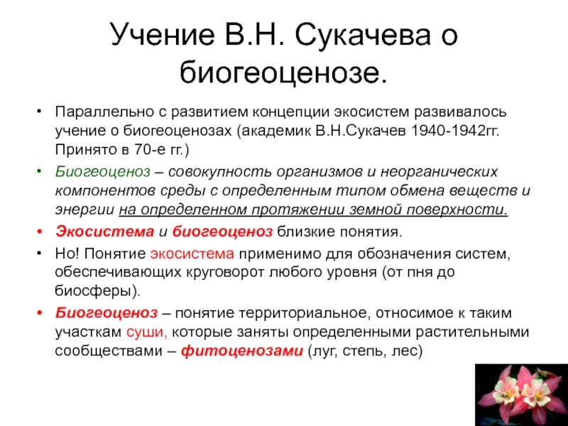 Роль учения. В Н Сукачев учение о биогеоценозе. Учение Сукачева о биогеоценозе. Теория Сукачева о биогеоценозе. Учение Сукачева о биогеоценозе кратко.