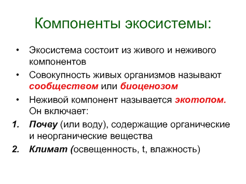 Из каких основных компонентов состоят экосистемы схема