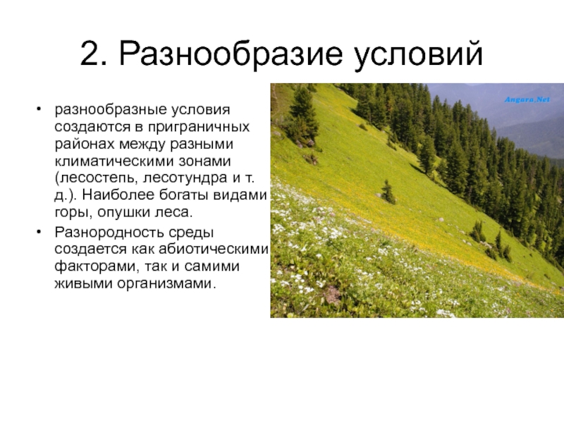 Видов разнообразия условий. Геоботаника. Геоботаника это наука о. Что изучает геоботаника в биологии. Геоботаника это в биологии кратко.