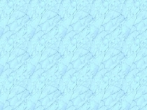 21_Bordetella, Francisella &amp; Brucella