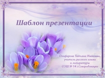 Шаблон презентации