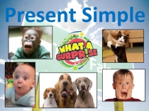 Present Simple