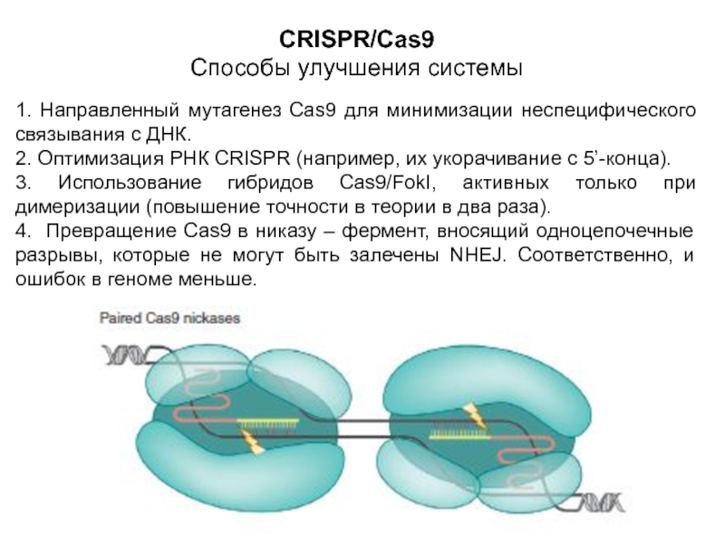 Crispr cas9 презентация