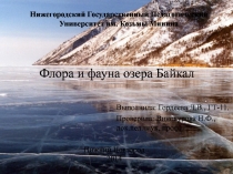 Флора и фауна озера Байкал