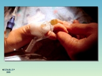 © S.T.A.B.L.E. ®
2001