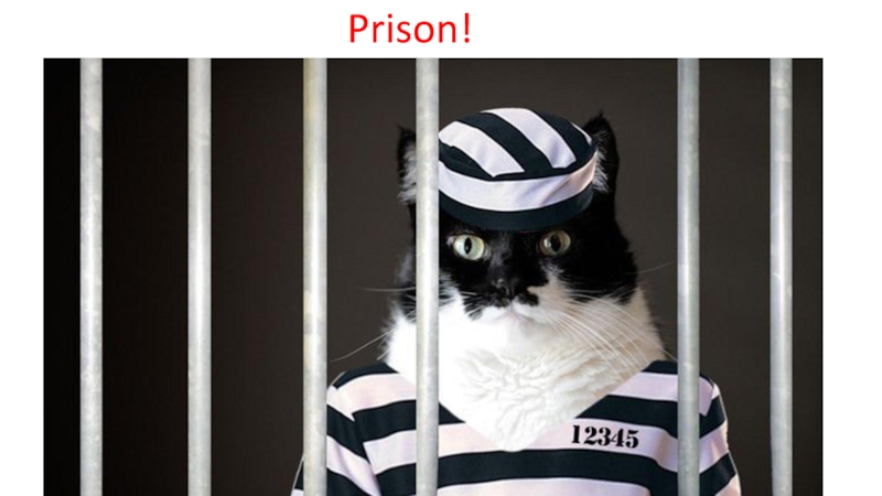 Lesson 3 Past Simple ed Prison! Prison!