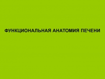 ФУНКЦИОНАЛЬНАЯ АНАТОМИЯ ПЕЧЕНИ