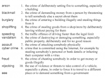 arson
blackmail
burglary
shoplifting
speeding
vandalism
assault
cyber