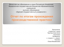 Отчет по итогам прохождения производственной практики