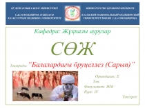 Кафедра: Жұқпалы аурулар
СӨЖ
Тақырыбы: “Балалардағы бруцеллез ( Сарып )