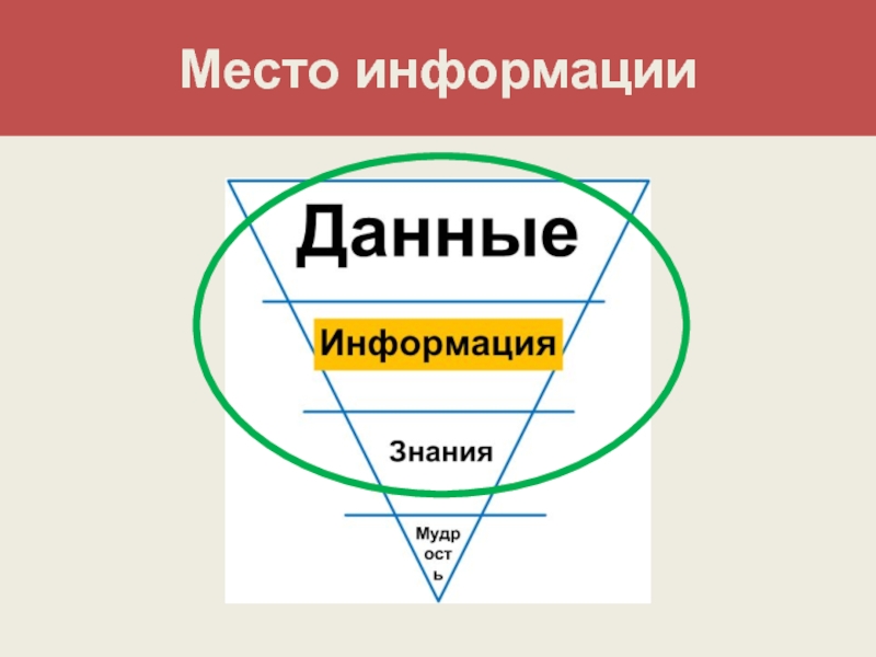 Отличие информации. Данные и информация. Данные информация знания. Данные информация знания схема. Данные и знания отличия.