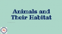 Animals and Their Habitat