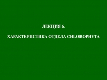 ЛЕКЦИЯ 6.
ХАРАКТЕРИСТИКА ОТДЕЛА CHLOROPHYTA