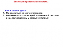 Эволюция кровеносной системы