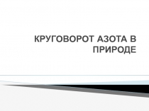 КРУГОВОРОТ АЗОТА В ПРИРОДЕ