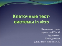 Клеточные тест-системы in vitro