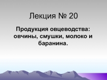 Лекция № 20