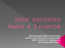 Урок русского языка в 5 классе