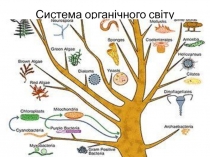 Система органічного світу