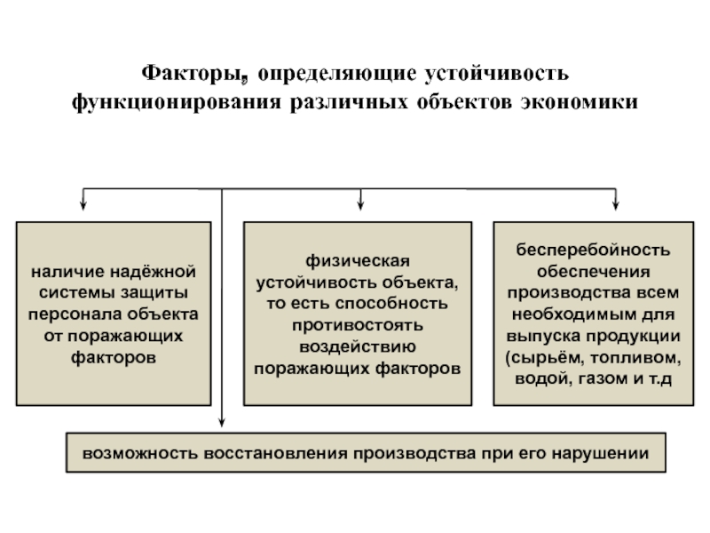 Лекция по теме Устойчивость функционирования организаций в чрезвычайных ситуациях