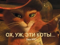 Ох, уж, эти коты …