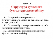 Тема 15 Структура сучасного бухгалтерського обліку