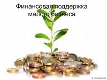 Финансовая поддержка малого бизнеса