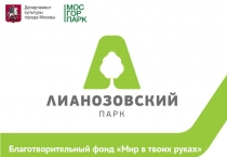 Благотворительный фонд Мир в твоих руках