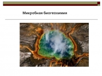 Микробная биогеохимия