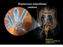Нормальна мікробіота людини
Виконала:
студентка БТЕК 4-2
Бугера Анна