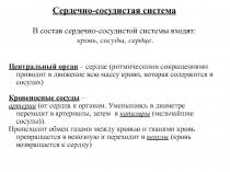 Сердечно-сосудистая система В состав сердечно-сосудистой системы входят: кровь,
