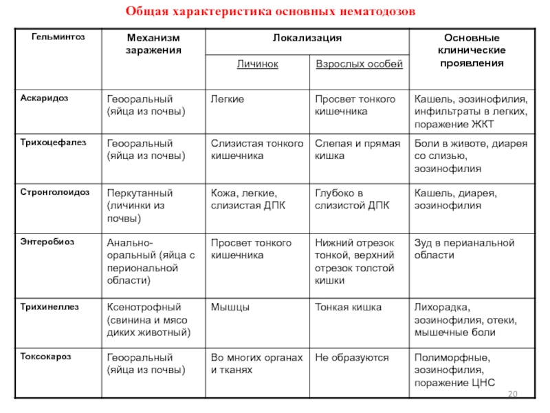 Микробиология в таблицах и схемах