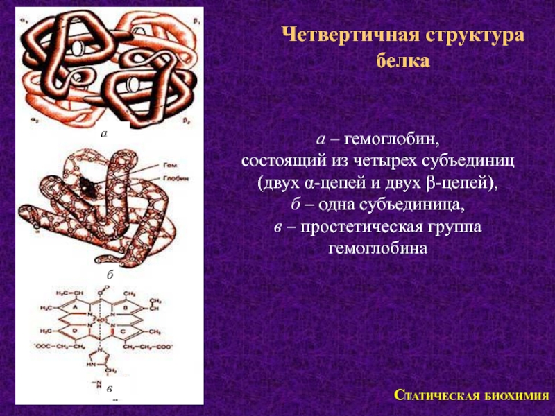 2 структура белка. 4 Структура белка биохимия. Четвертичной структуры белка белка гемоглобина.. Гемоглобин белок четвертичной структуры. Субъединицы четвертичной структуры белка это.