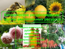 Ботаническое ресурсоведение: группы растительных ресурсов