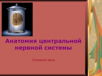 Анатомия центральной
нервной системы
Головной мозг