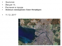1
Экология
Лекция 1 4.
Растения в городе
Зеленые насаждения Санкт