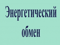 Энергетический
обмен